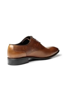 Ducavelli Business-Schuh - Braun - Flacher Absatz Herren Business-Schuhe 137674352 5 Ducavelli Business-Schuh - Braun - Flacher Absatz Herren Business-Schuhe 137674352 -Boutique-Schuhgeschäft 3 org zoom 837